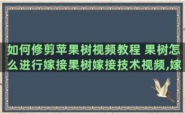 如何修剪苹果树视频教程 果树怎么进行嫁接果树嫁接技术视频,嫁接方法图解